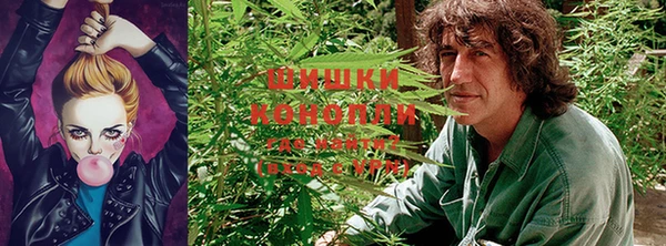 ГАЛЛЮЦИНОГЕННЫЕ ГРИБЫ Каменногорск