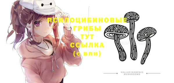 дмт Каменск-Шахтинский