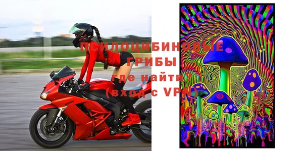 mdpv Каменка
