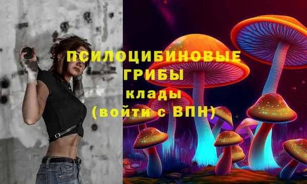 mdpv Каменка