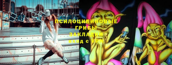 mdpv Каменка