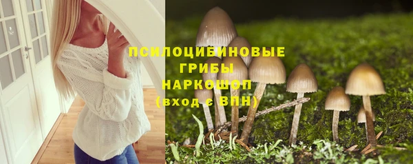дмт Каменск-Шахтинский