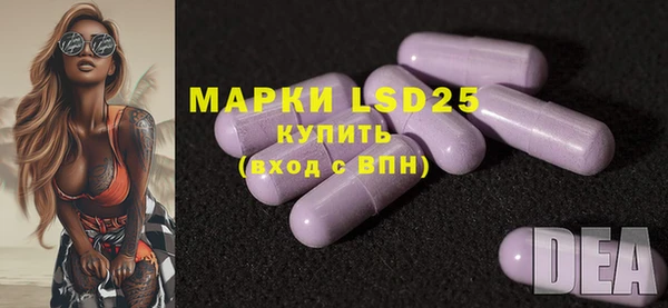 mdpv Каменка