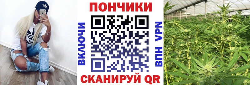 Шишки марихуана конопля  Купить где  Тарко-Сале 
